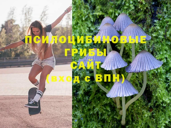 прущие грибы Беломорск